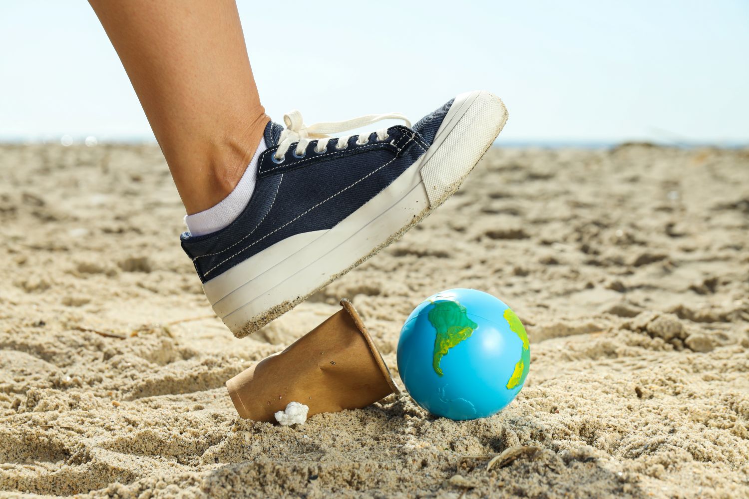 Carbon Footprint2
