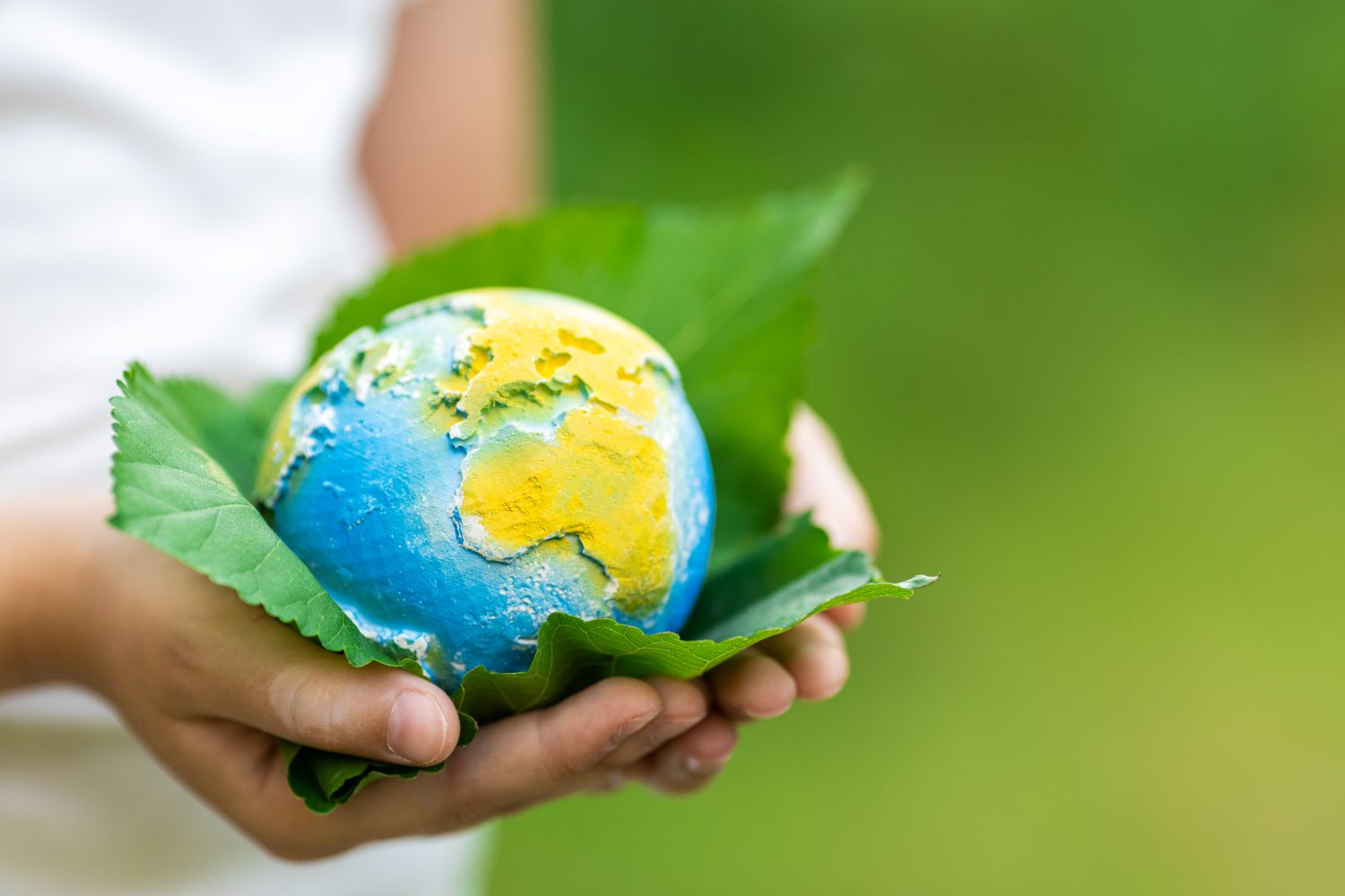 Greenwashing